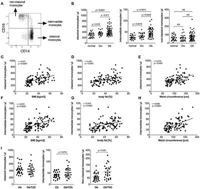 Perturbation of the Monocyte Compartment in Human Obesity